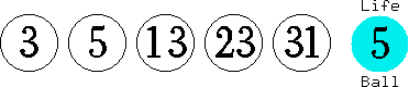 03 05 13 23 31 (05)