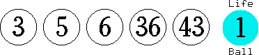 03 05 06 36 43 (01)